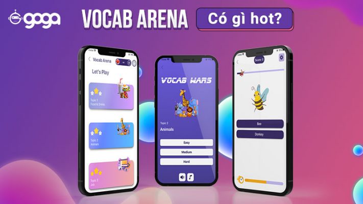 Cách Học Từ Vựng Tiếng Anh Hiệu Quả Với Vocab Arena