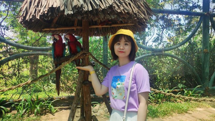 quyết tâm học tiếng anh